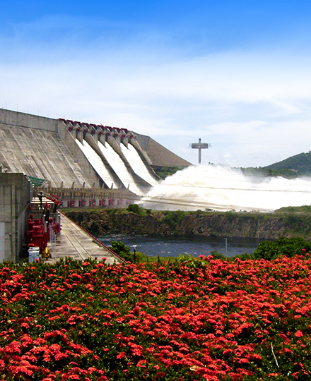 Environment Engineering